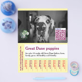 Colorful tear off dog flyer  (Enkel)