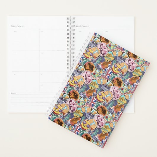 Colorful Travel Sticker Patroon Planner (Display)