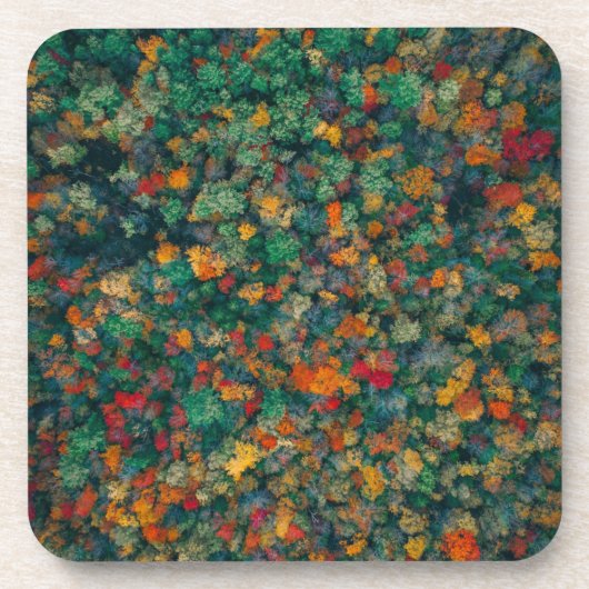 Colorful Treetops Bier Onderzetter (Voorkant)
