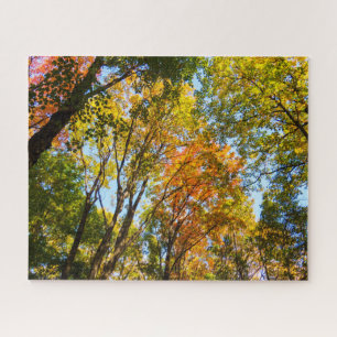 Colorful Treetops Legpuzzel