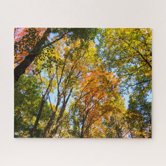 Colorful Treetops Legpuzzel (Horizontaal)