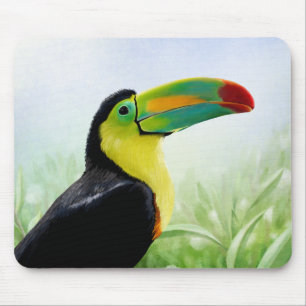 Colorful Tropical Bird Black Yellow Green Toucan Muismat