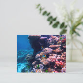 Colorful Tropical Coral Reef Briefkaart (Staand voorkant)