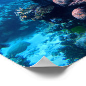 Colorful Tropical Coral Reef Poster (Hoek)