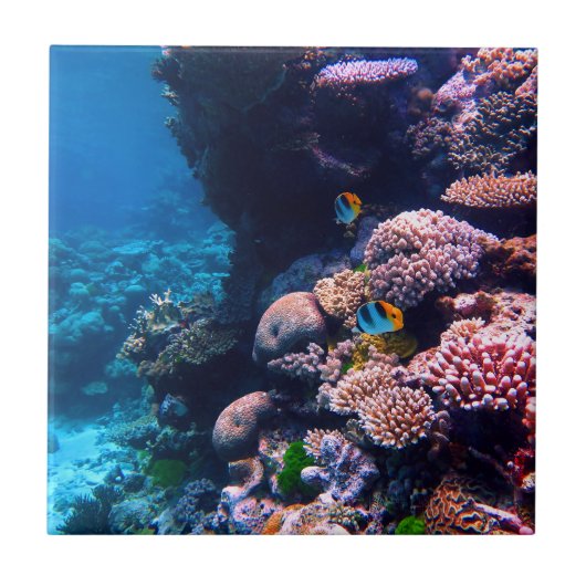 Colorful Tropical Coral Reef Tegeltje (Voorkant)