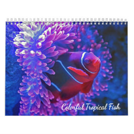 Colorful Tropical Fish 2026 Underwater Paradise  Kalender