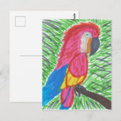 Colorful Tropical Macaw Briefkaart (Voorkant / Achterkant)