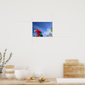 Colorful Tropical Parrot Poster (Keuken)