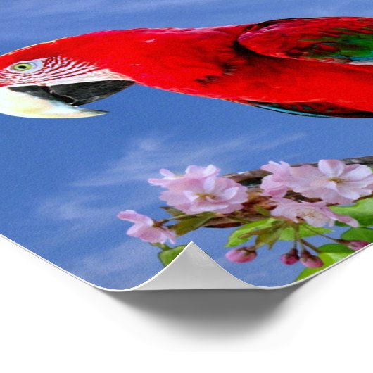 Colorful Tropical Parrot Poster (Hoek)