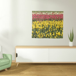 Colorful Tulip Blooms Floral Wandkleed