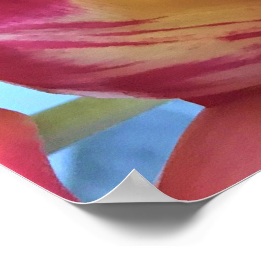 Colorful Tulip Bouquet Poster (Hoek)