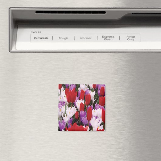 Colorful Tulip Flowers Magnet (Insitu (Vaatwasser))