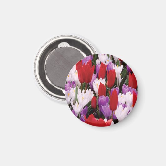 Colorful Tulip Flowers Magnet (Voorkant / Achterkant)