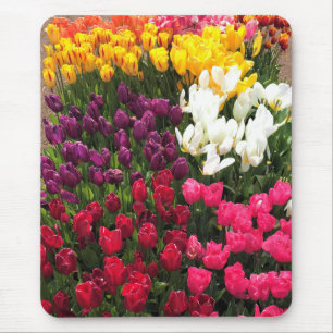 Colorful Tulip Garden Bed, Oregon Muismat