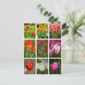 Colorful Tulips Briefkaart (Staand voorkant)