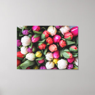 COLORFUL TULIPS CANVAS AFDRUK