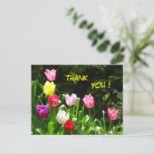 Colorful Tulips Dank u Briefkaart (Staand voorkant)