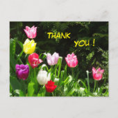 Colorful Tulips Dank u Briefkaart (Voorkant)
