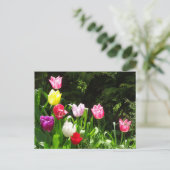 Colorful Tulips DIY Briefkaart (Staand voorkant)