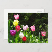 Colorful Tulips DIY Briefkaart (Voorkant / Achterkant)