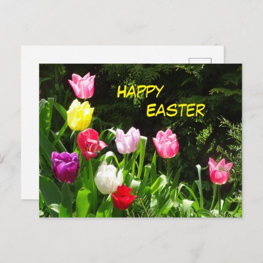 Colorful Tulips Happy Easter Briefkaart (Voorkant / Achterkant)