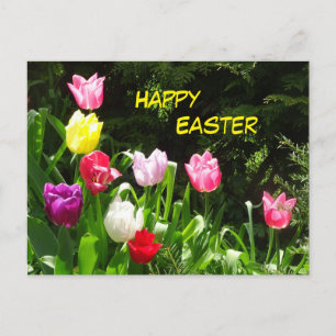Colorful Tulips Happy Easter Briefkaart