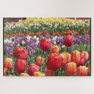 Colorful Tulips in Bloom Elizabeth Park Hartford Legpuzzel
