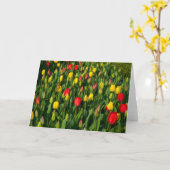 Colorful Tulips Kaart (Gele Bloem)
