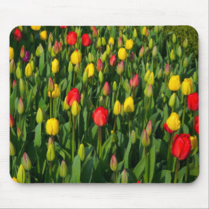Colorful Tulips Muismat