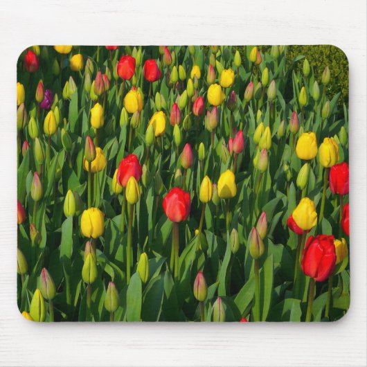 Colorful Tulips Muismat (Voorkant)