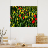 Colorful Tulips Poster (Keuken)