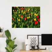 Colorful Tulips Poster (Thuiskantoor)