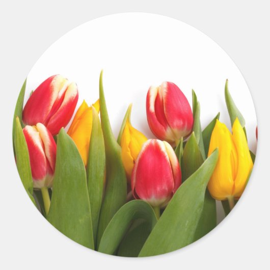Colorful Tulips Ronde Sticker (Voorkant)