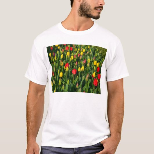 Colorful Tulips T-shirt (Voorkant)