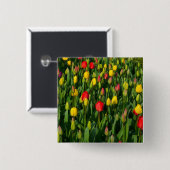 Colorful Tulips Vierkante Button 5,1 Cm (Voorkant /achterkant)