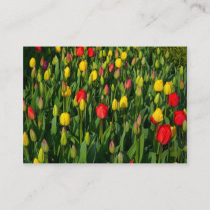 Colorful Tulips Visitekaartje