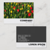 Colorful Tulips Visitekaartje (Voorkant / Achterkant)
