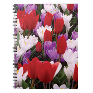 Colorful Tulp Flowers Spiral Notitieboek