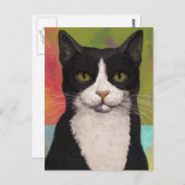 Colorful Tuxedo Cat Briefkaart (Voorkant / Achterkant)
