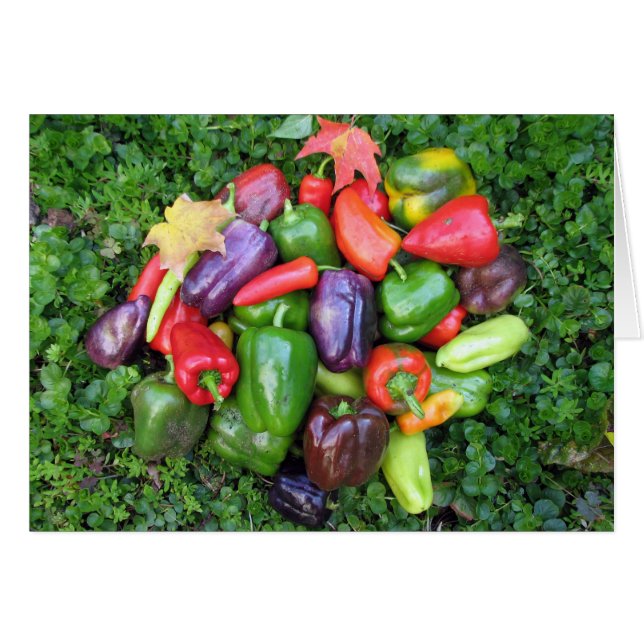 Colorful Veggies en Maple Leaves (Voorkant Horizontaal)