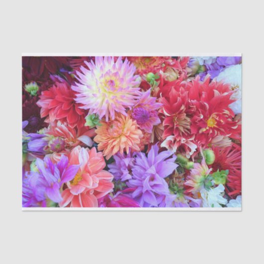 Colorful Vibrant Dahlia Flowers Tissuepapier (Voorkant)