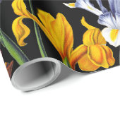 Colorful Victoriaans Iris Flowers op Black Pattern Cadeaupapier (Rol Hoek)