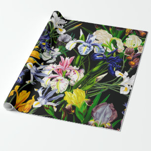Colorful Victoriaans Iris Flowers op Black Pattern Cadeaupapier