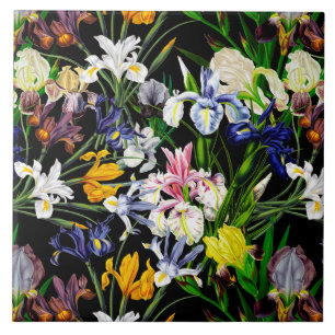 Colorful Victoriaans Iris Flowers op Black Pattern Tegeltje
