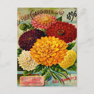Colorful Vintage Dahlia Flowers Briefkaart