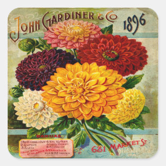 Colorful Vintage Dahlia Flowers Vierkante Sticker