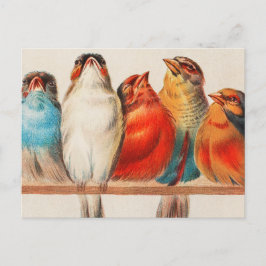 Colorful vintage illustration of five little birds briefkaart