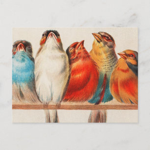 Colorful vintage illustration of five little birds briefkaart