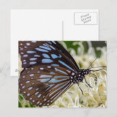 Colorful Visitor Briefkaart (Voorkant / Achterkant)