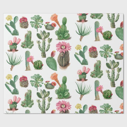 Colorful Waterverf Cactus & Succulents Flowers Cadeaupapier (Vlak)